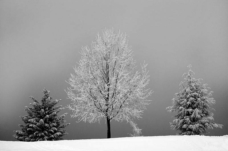 Schneemeister GmbH - Image 3