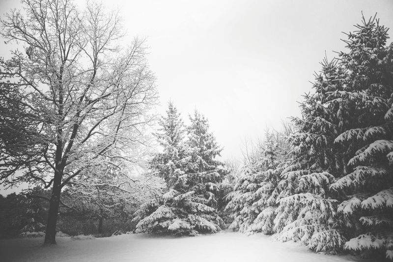 Schneemeister GmbH - Image 7